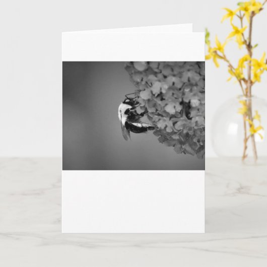 ビー、カード カード (黄色い花)