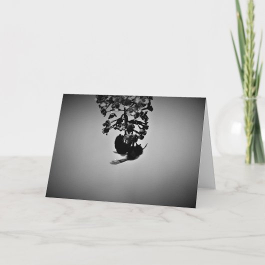 ビー、カード カード (正面)