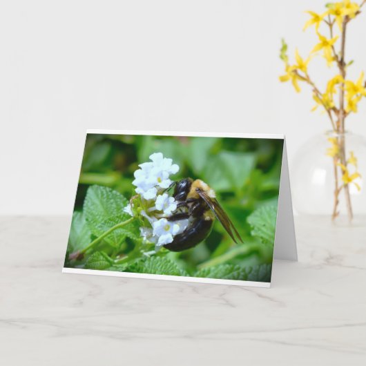 ビー、カード カード (黄色い花)