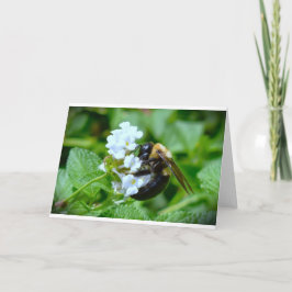 ビー、カード カード