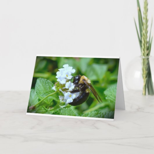 ビー、カード カード (正面)