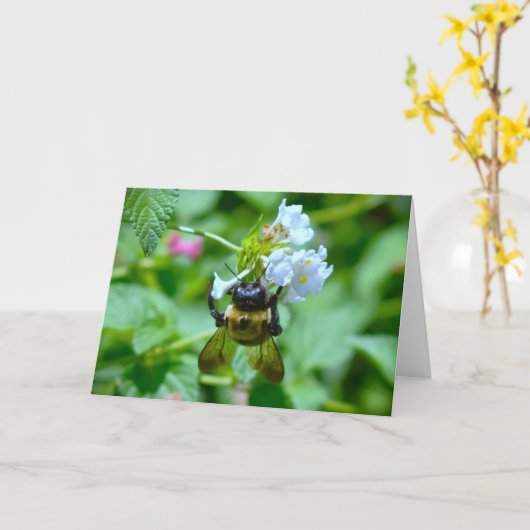 ビー、カード カード (黄色い花)