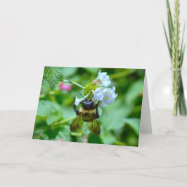 ビー、カード カード