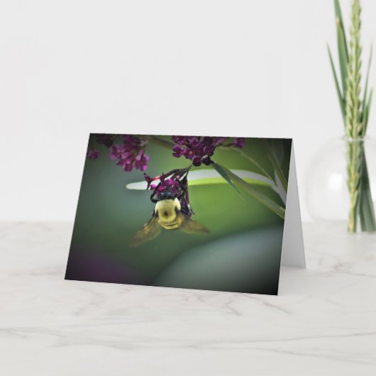 ビー、カード カード (正面)