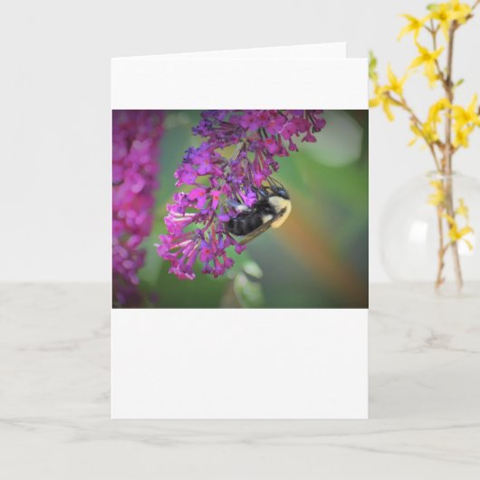 ビー、カード カード (黄色い花)