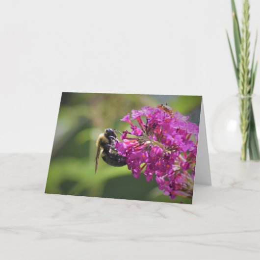 ビー、カード カード (正面)