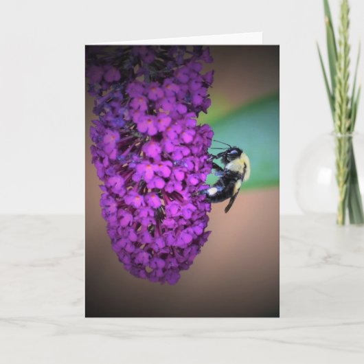 ビー、カード カード (正面)