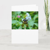 ビー、カード カード (正面)