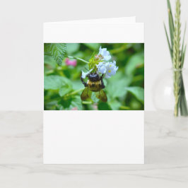 ビー、カード カード