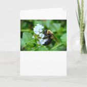 ビー、カード カード (正面)