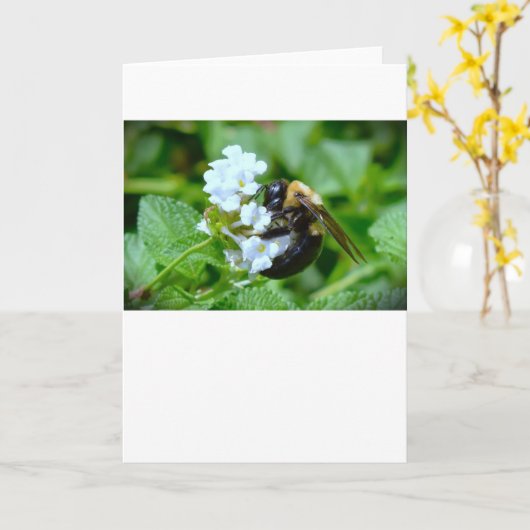 ビー、カード カード (黄色い花)