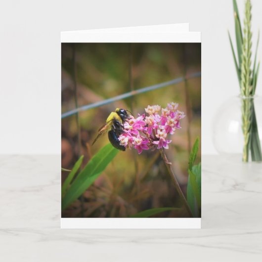 ビー、カード カード (正面)