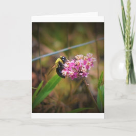 ビー、カード カード