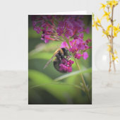 ビー、カード カード (黄色い花)