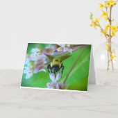 ビー、カード カード (黄色い花)