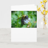 ビー、カード カード (黄色い花)