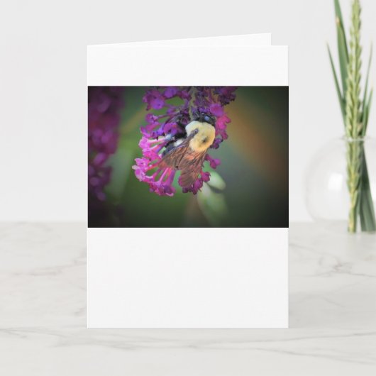 ビー、カード カード (正面)