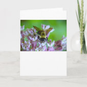 ビー、カード カード (正面)