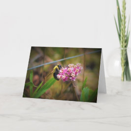 ビー、カード カード