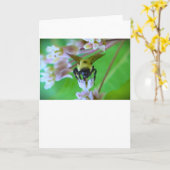 ビー、カード カード (黄色い花)