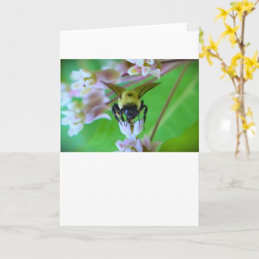 ビー、カード カード (黄色い花)