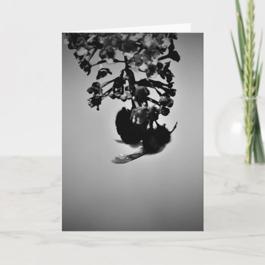 ビー、カード カード (正面)