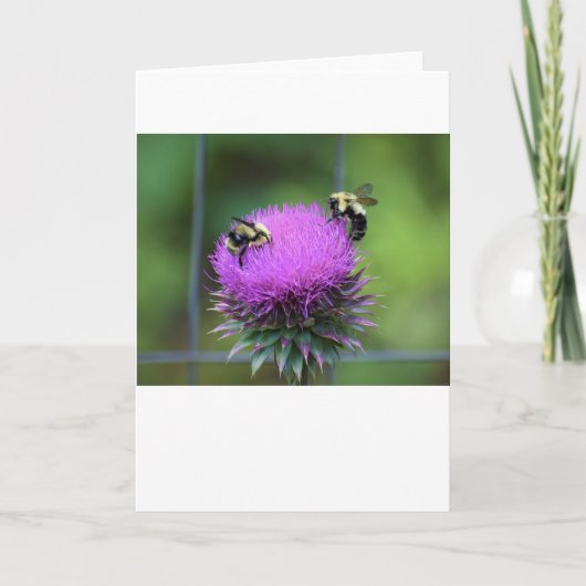 ビー、カード カード (正面)