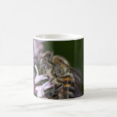 ビー コーヒーマグカップ (中央)