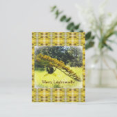 ビー&ゴールデンロッドルグナサッドラムマスハーベスト シーズンポストカード (スタンド正面)