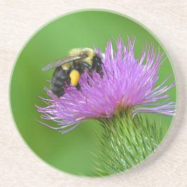 ビー&サイスルサンドストーンコースター コースター