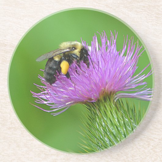 ビー&サイスルサンドストーンコースター コースター (正面)