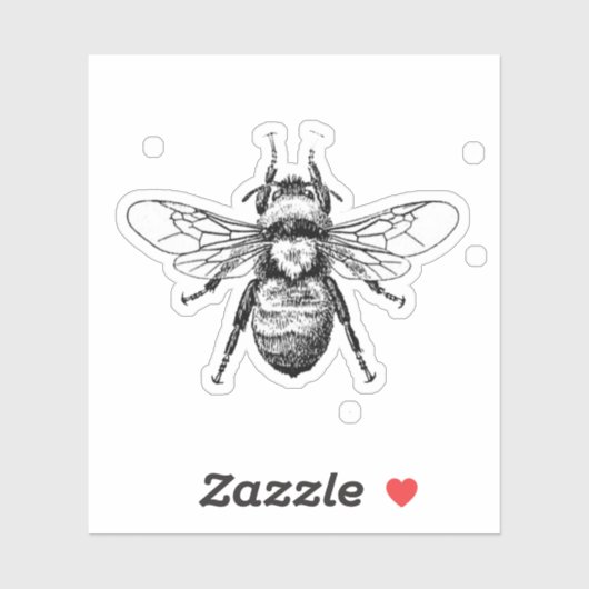 ビー シール (シート)