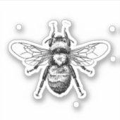 ビー シール (正面)