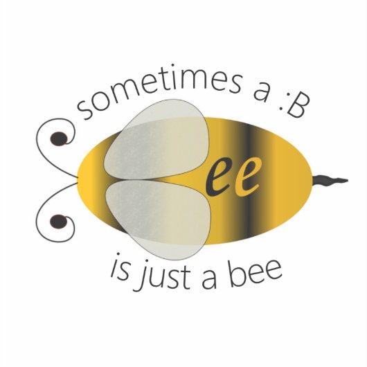 ビー シール (正面)