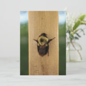 ビー・ジラ 招待状 (スタンド正面)