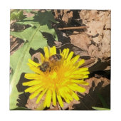 ビー タイル (正面)