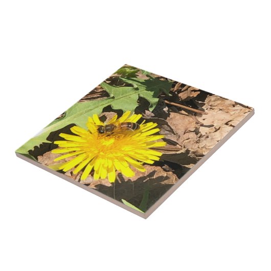 ビー タイル (側面)