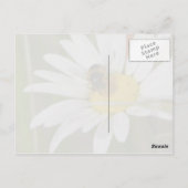 ビー&デイジーはがき ポストカード (裏面)