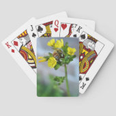 ビー トランプ (裏面)