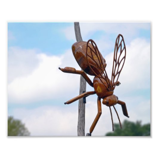 ビー フォトプリント            (正面)