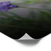 ビー ポスター (角)