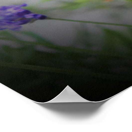 ビー ポスター (角)