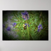 ビー ポスター (正面)