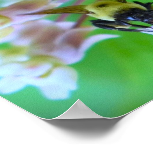 ビー ポスター (角)