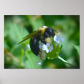 ビー ポスター (正面)