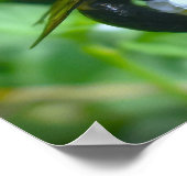 ビー ポスター (角)