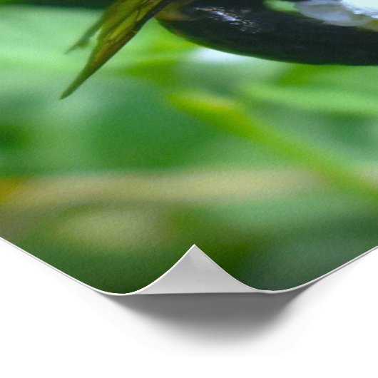 ビー ポスター (角)