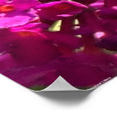 ビー ポスター (角)