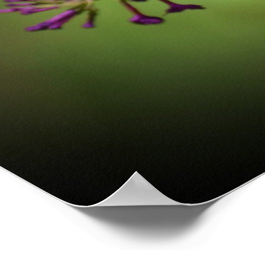 ビー ポスター (角)