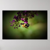 ビー ポスター (正面)